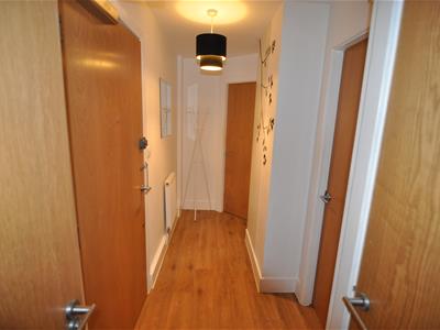 Picture 7
